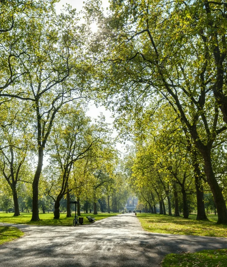 słoneczny dzień w parku